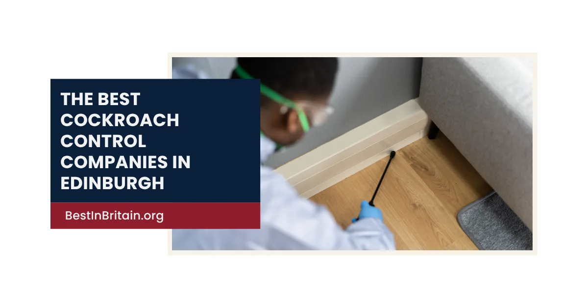 4 Best Cockroach Control Companies in Edinburgh