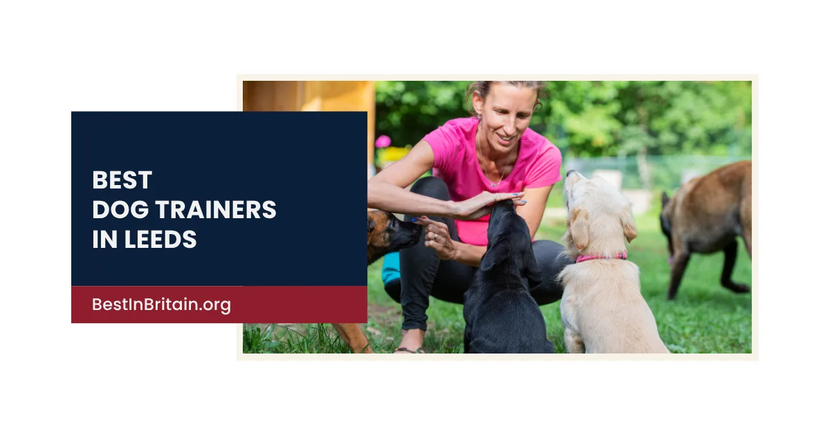 The 4 best dog trainers in Leeds