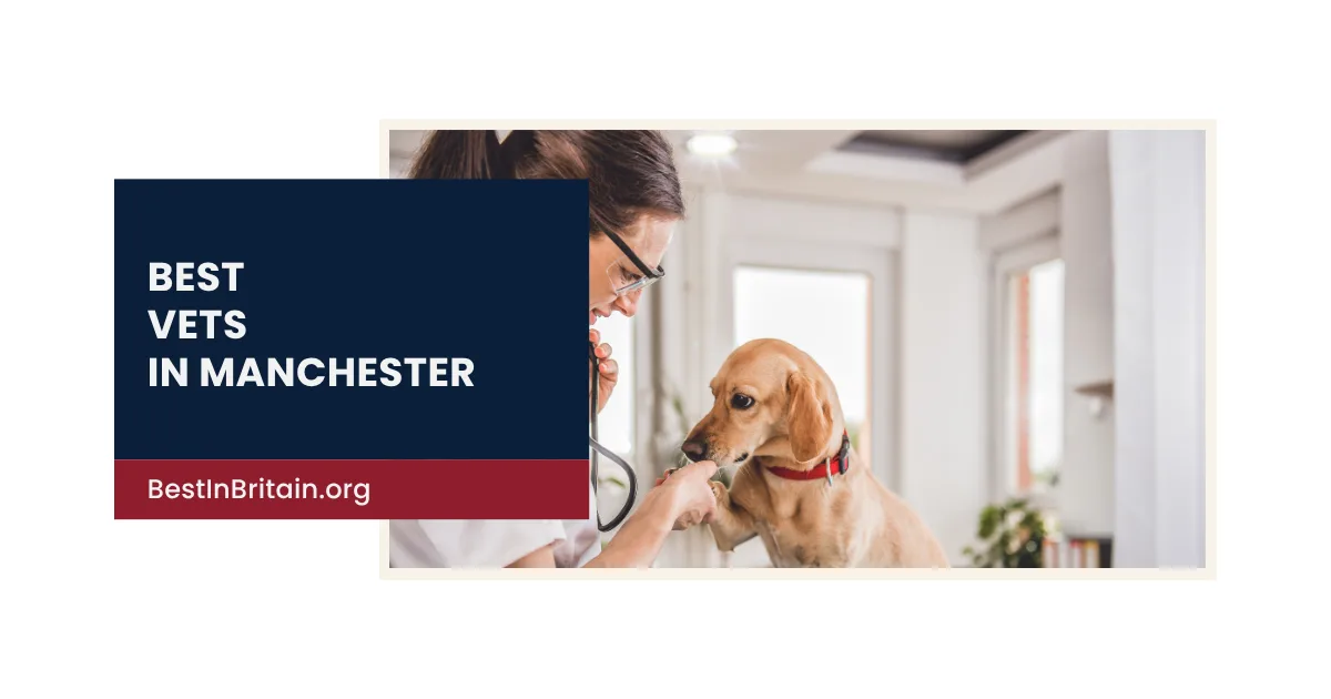 The Best Animal Clinics in Manchester for Your Pets